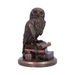 An Owl's Tale 14.5cm Owls New Arrivals