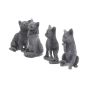 Lucky Black Cats 9cm (Display of 24) Cats Top 200 None Licensed