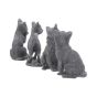 Lucky Black Cats 9cm (Display of 24) Cats Top 200 None Licensed