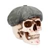 Boss 18.5cm Skulls Stock Arrivals