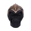 Spine Head Skull (JR) 18.5cm Skulls Sale Items