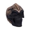 Spine Head Skull (JR) 18.5cm Skulls Sale Items