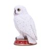 Wizard's Familiar 10cm Owls Gifts Under £100