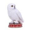 Wizard's Familiar 10cm Owls Gifts Under £100