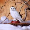 Wizard's Familiar 10cm Owls Gifts Under £100