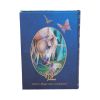 Fairy Whispers Journal (LP) 17cm Unicorns Sale Items