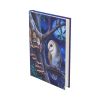 Fairy Tales Journal (LP) 17cm Fairies Gifts Under £100