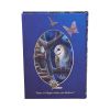 Fairy Tales Journal (LP) 17cm Fairies Gifts Under £100