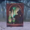 Absinthe Journal (LP) 17cm Cats Summer Sale 2024