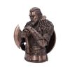 Assassin's Creed Valhalla Eivor Bust (Bronze) 31cm Gaming Summer Sale 2024