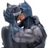 Batman & Catwoman Bust 30cm Comic Characters Super Dads