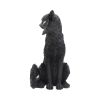 Salem 32.5cm Cats Gifts Under £100