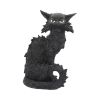 Salem 32.5cm Cats Gifts Under £100