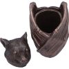 Bat Snuggle Box 8.5cm Bats Gifts Under £100