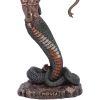 Medusa's Wrath (Medium) 15.5cm History and Mythology New Arrivals