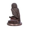 An Owl's Tale 14.5cm Owls New Arrivals