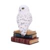 Library of Wisdom 17cm Owls New Arrivals