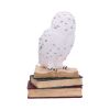 Library of Wisdom 17cm Owls New Arrivals