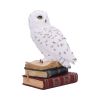 Library of Wisdom 17cm Owls New Arrivals