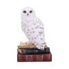 Library of Wisdom 17cm Owls New Arrivals