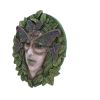 Fern 20cm Tree Spirits New Arrivals