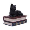 Salems Spells 11.7cm Cats Out Of Stock