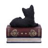 Salems Spells 11.7cm Cats Out Of Stock