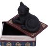 Salems Spells 11.7cm Cats Out Of Stock