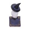 Avian Spell (Blue) 12.5cm Owls Gifts Under £100