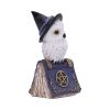 Avian Spell (Blue) 12.5cm Owls Gifts Under £100