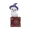 Avian Spell (Red) 12.5cm Owls Gifts Under £100