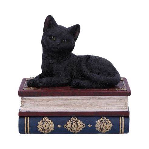 Salems Spells 11.7cm Cats Out Of Stock