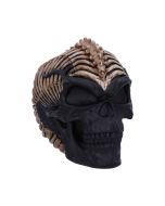 Spine Head Skull (JR) 18.5cm Skulls Sale Items