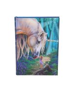 Fairy Whispers Journal (LP) 17cm Unicorns Sale Items