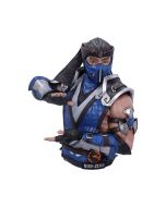 Mortal Kombat Sub-Zero Bust 29cm Gaming Licensed Gaming