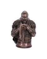 Assassin's Creed Valhalla Eivor Bust (Bronze) 31cm Gaming September Flash Sale 2024 | Licensed