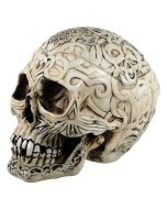 Celtic Skull Box 20cm Skulls Sale Items