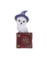 Avian Spell (Red) 12.5cm Owls Gifts Under £100